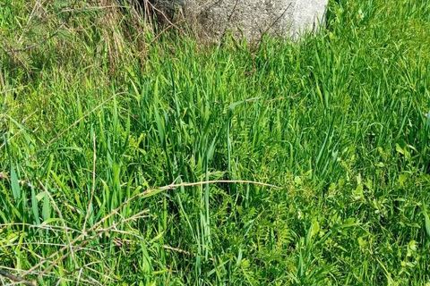 Villa i Mangualde, Viseu, Mangualde - € 198.000 | Ref: Q37 - foto 11