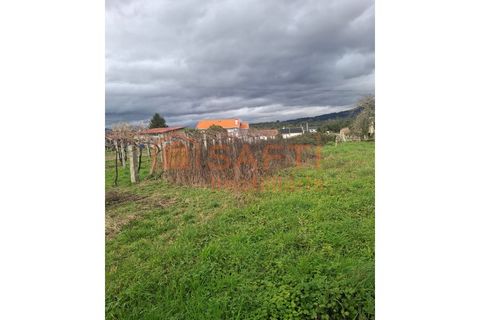 Ruinere i Bela, Viana do Castelo, Bela - € 55.000 | Ref: SAFTI:007961 - foto 5