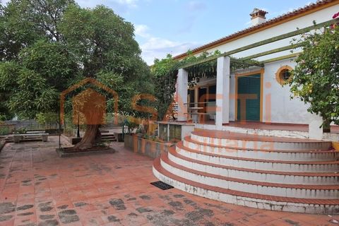 Villa i Fortios, Portalegre, Fortios - € 365.000 | Ref: SAFTI:007964 - foto 6
