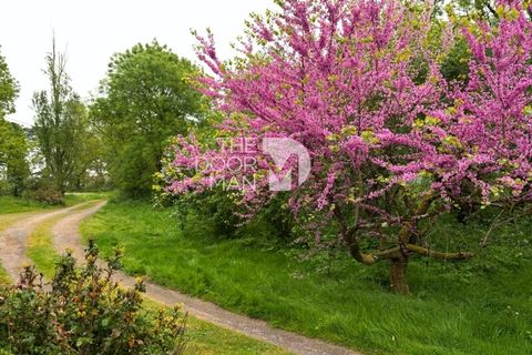 Villa a Saint-Mars-de-Coutais, Loire-Atlantique, Saint-Mars-de-Coutais - € 215.000 | Ref: 9591 - foto 2