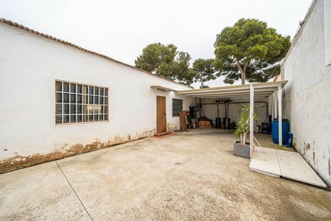 L'establiment comercial a Capdepera, Mallorca, Capdepera - € 1.600/mes | Ref: 15RK011/3010 - foto 14