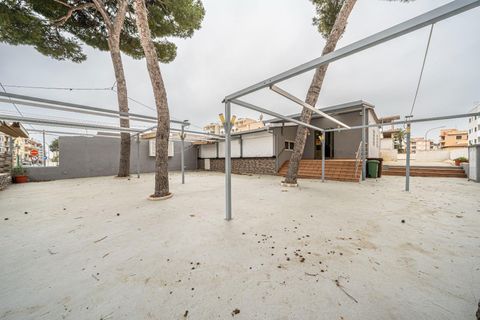 L'establiment comercial a Capdepera, Mallorca, Capdepera - € 1.600/mes | Ref: 15RK011/3010 - foto 15
