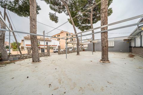 L'establiment comercial a Capdepera, Mallorca, Capdepera - € 1.600/mes | Ref: 15RK011/3010 - foto 19