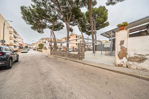 L'establiment comercial a Capdepera, Mallorca, Capdepera - € 1.600/mes | Ref: 15RK011/3010 - foto 21