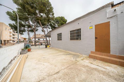 L'establiment comercial a Capdepera, Mallorca, Capdepera - € 1.600/mes | Ref: 15RK011/3010 - foto 26