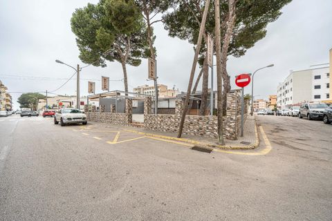 L'establiment comercial a Capdepera, Mallorca, Capdepera - € 1.600/mes | Ref: 15RK011/3010 - foto 27