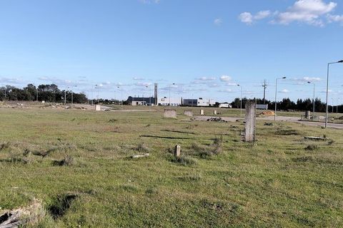 Terra a Palmela, Setubal, Palmela - € 115.000 | Ref: 838412 - foto 6