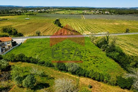 Terra a Gaeiras, Leiria, Gaeiras - € 155.000 | Ref: 150260054 - foto 2