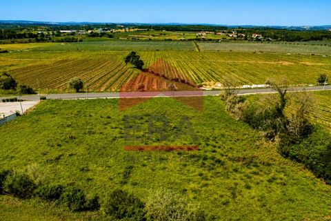 Terra a Gaeiras, Leiria, Gaeiras - € 155.000 | Ref: 150260054 - foto 6
