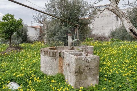 Villa i Estremoz, Evora, Estremoz - € 73.000 | Ref: 123211536-20 - foto 5