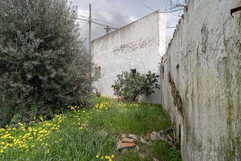 Villa i Estremoz, Evora, Estremoz - € 73.000 | Ref: 123211536-20 - foto 15