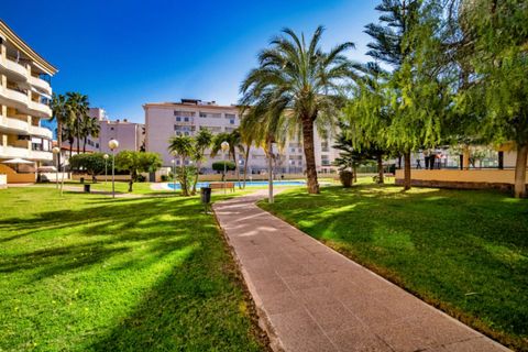 Leilighet i Albir, Alicante, Albir - € 395 000 | Ref: NO5773 - foto 15