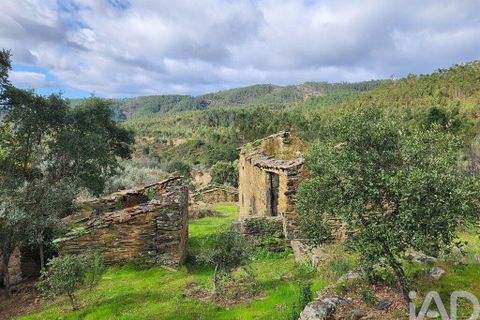 Byhus i Castelo Branco, Castelo Branco, Castelo Branco - € 250.000 | Ref: 835505 - foto 4