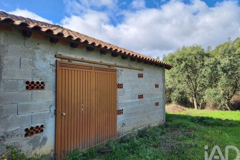 Byhus i Castelo Branco, Castelo Branco, Castelo Branco - € 250.000 | Ref: 835505 - foto 22