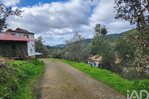 Byhus i Castelo Branco, Castelo Branco, Castelo Branco - € 250.000 | Ref: 835505 - foto 2