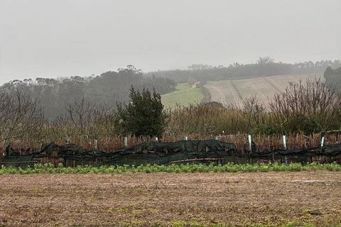 Helårsgrund i Peniche, Leiria, Peniche - € 120.000 | Ref: 831549 - foto 15