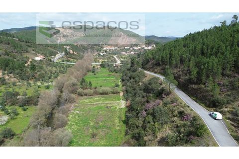 Helårsgrund i Castelo Branco, Castelo Branco, Castelo Branco - € 11.500 | Ref: 5785/EG - foto 2