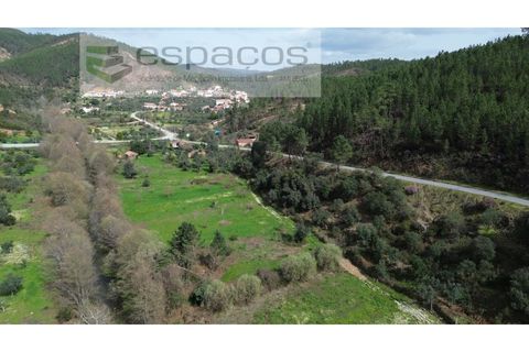 Helårsgrund i Castelo Branco, Castelo Branco, Castelo Branco - € 11.500 | Ref: 5785/EG - foto 3