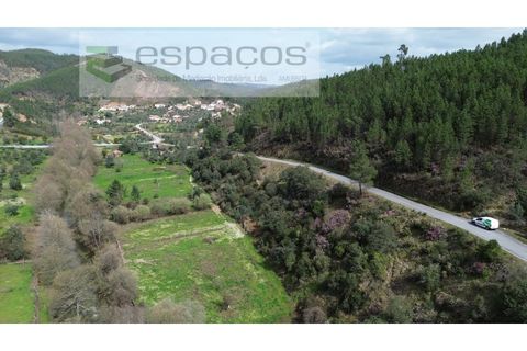 Helårsgrund i Castelo Branco, Castelo Branco, Castelo Branco - € 11.500 | Ref: 5785/EG - foto 4