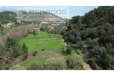 Helårsgrund i Castelo Branco, Castelo Branco, Castelo Branco - € 11.500 | Ref: 5785/EG - foto 5