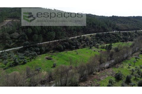 Helårsgrund i Castelo Branco, Castelo Branco, Castelo Branco - € 11.500 | Ref: 5785/EG - foto 6