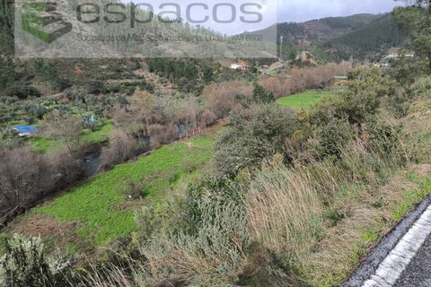 Helårsgrund i Castelo Branco, Castelo Branco, Castelo Branco - € 11.500 | Ref: 5785/EG - foto 7