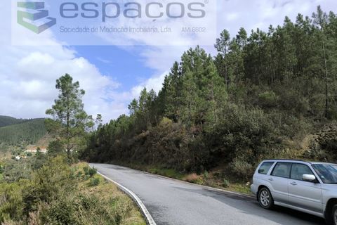 Helårsgrund i Castelo Branco, Castelo Branco, Castelo Branco - € 11.500 | Ref: 5785/EG - foto 8