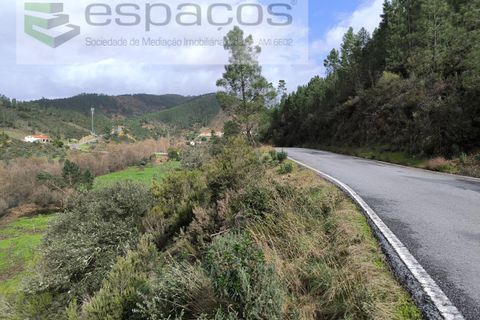 Helårsgrund i Castelo Branco, Castelo Branco, Castelo Branco - € 11.500 | Ref: 5785/EG - foto 9