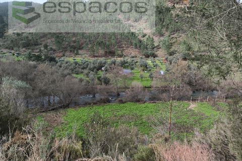 Helårsgrund i Castelo Branco, Castelo Branco, Castelo Branco - € 11.500 | Ref: 5785/EG - foto 10