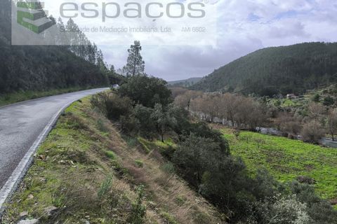 Helårsgrund i Castelo Branco, Castelo Branco, Castelo Branco - € 11.500 | Ref: 5785/EG - foto 11