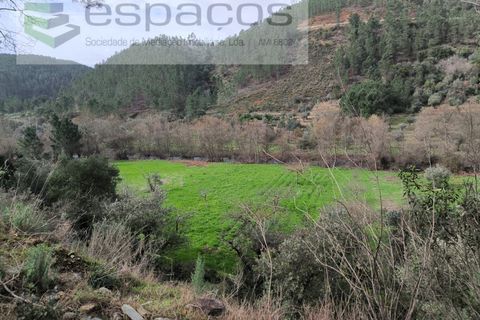 Helårsgrund i Castelo Branco, Castelo Branco, Castelo Branco - € 11.500 | Ref: 5785/EG - foto 13