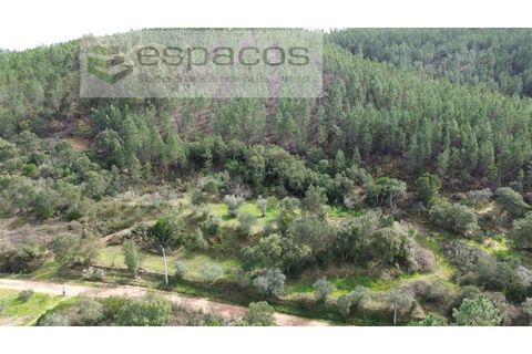 Helårsgrund i Castelo Branco, Castelo Branco, Castelo Branco - € 15.000 | Ref: 5784/EG - foto 2