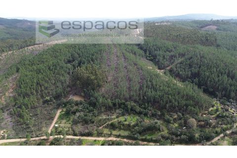 Helårsgrund i Castelo Branco, Castelo Branco, Castelo Branco - € 15.000 | Ref: 5784/EG - foto 5