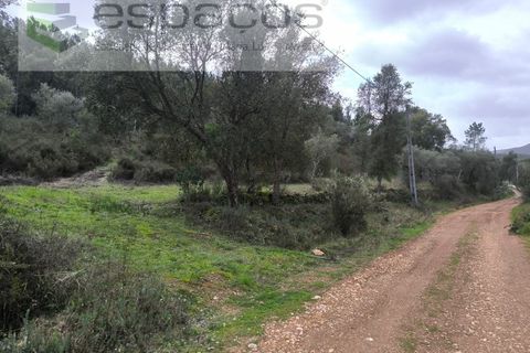 Helårsgrund i Castelo Branco, Castelo Branco, Castelo Branco - € 15.000 | Ref: 5784/EG - foto 6