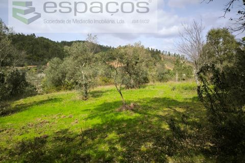 Helårsgrund i Castelo Branco, Castelo Branco, Castelo Branco - € 15.000 | Ref: 5784/EG - foto 8
