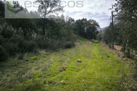 Helårsgrund i Castelo Branco, Castelo Branco, Castelo Branco - € 15.000 | Ref: 5784/EG - foto 9