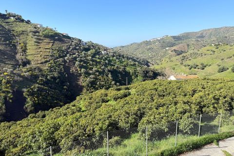 Landejendom i Competa, Malaga, Competa - € 1.100.000 | Ref: MLH972 - foto 12