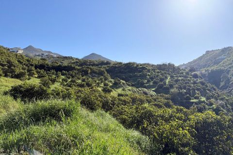 Landejendom i Competa, Malaga, Competa - € 1.100.000 | Ref: MLH972 - foto 24