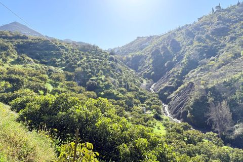 Landejendom i Competa, Malaga, Competa - € 1.100.000 | Ref: MLH972 - foto 25