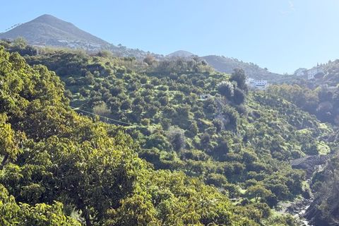 Landejendom i Competa, Malaga, Competa - € 1.100.000 | Ref: MLH972 - foto 26