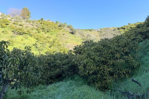 Landejendom i Competa, Malaga, Competa - € 1.100.000 | Ref: MLH972 - foto 29