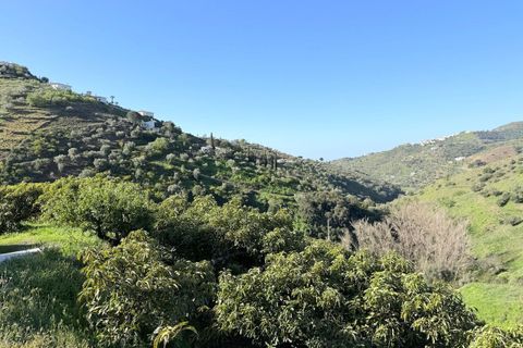 Landejendom i Competa, Malaga, Competa - € 1.100.000 | Ref: MLH972 - foto 32
