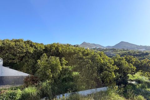 Landejendom i Competa, Malaga, Competa - € 1.100.000 | Ref: MLH972 - foto 36