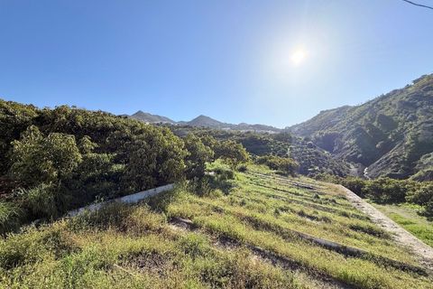 Landejendom i Competa, Malaga, Competa - € 1.100.000 | Ref: MLH972 - foto 38