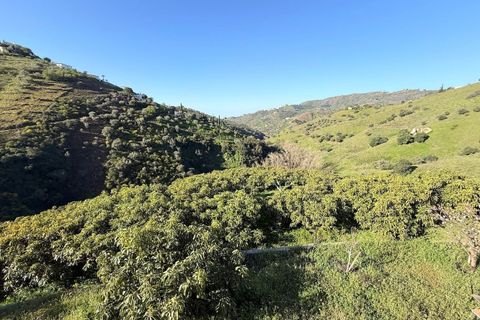 Landejendom i Competa, Malaga, Competa - € 1.100.000 | Ref: MLH972 - foto 48