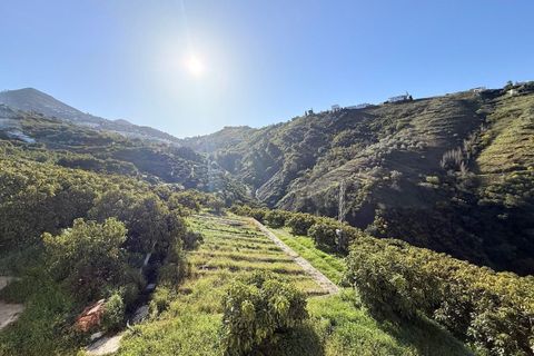 Landejendom i Competa, Malaga, Competa - € 1.100.000 | Ref: MLH972 - foto 49