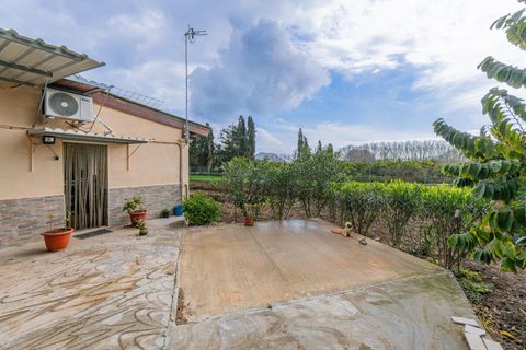 Villa i Son Servera, Mallorca, Son Servera - € 525.000 | Ref: 08MRSN009/10961 - foto 1