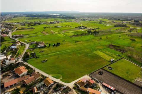 Helårsgrund i Bom Sucesso, Aveiro, Bom Sucesso - € 65.000 | Ref: CNTDC 6211 - foto 6