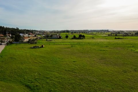 Helårsgrund i Bom Sucesso, Aveiro, Bom Sucesso - € 65.000 | Ref: CNTDC 6211 - foto 11