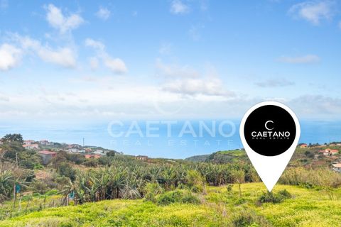 Villa i Calheta, Madeira, Calheta - € 350.000 | Ref: 3268 - foto 11